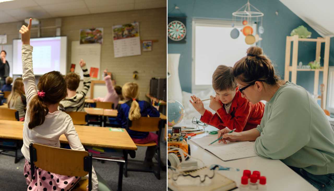 comparacion aulas vs homeschooling